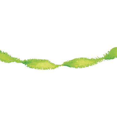 Ghirlanda di carta crespa verde chiaro 6 metri 1
