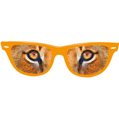 Occhiali leone occhi arancioni 1