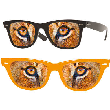 Occhiali leone occhi arancioni 2