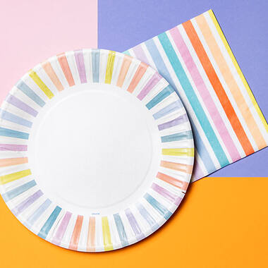 Disposable Plates Stripes Pastel 23cm - 8 pieces 4