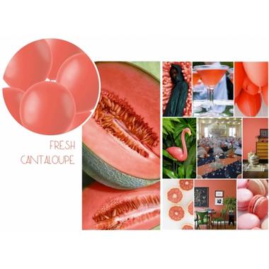 Palloncini Fresh Cantaloupe Opaco 33cm - 10 pezzi 2