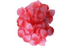 Petali di rosa rosa lussuosi 1