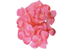 Petali di rosa rosa lussuosi 2