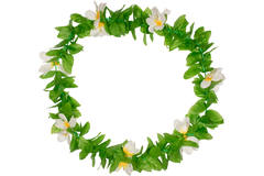 Hawaiian Flower Lei White 1