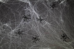 Spiderweb with 6 Black Spiders - 500 g