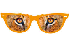 Brille Löwenaugen Orange
