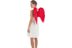 Angel Wings Red - 50x50 cm