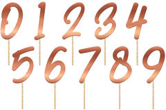 Cake Toppers Numbers Elegant Lush Blush 15cm - 20 pieces 1