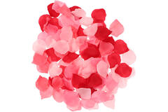Petali di Rosa Mix Rosa - 144 pezzi