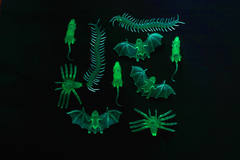Insects Glow in the Dark - 10 pieces