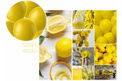 Palloncini Tuscan Yellow Opaco 33cm - 100 pezzi 2